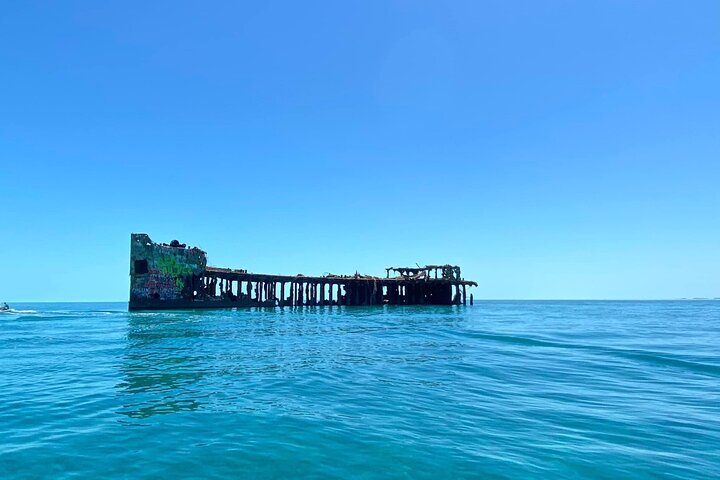 Step-by-step travel guide for Bimini Honeymoon Harbour tour,Honeymoon Harbour Bimini day trip,Sapona wreck snorkeling Bimini,best Bimini boat tours,swim with stingrays Bimini,Bimini excursion deals - transport and logistics