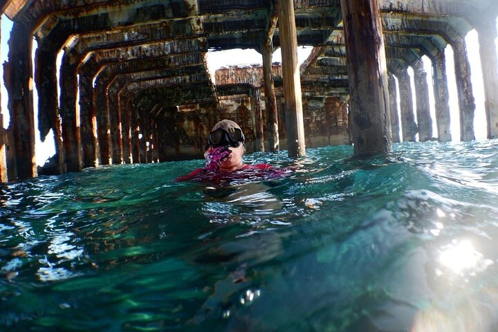 Bimini Honeymoon Harbour tour,Honeymoon Harbour Bimini day trip,Sapona wreck snorkeling Bimini,best Bimini boat tours,swim with stingrays Bimini,Bimini excursion deals - best seasons and travel conditions