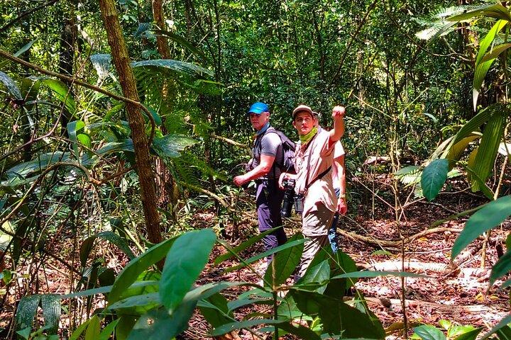 Step-by-step travel guide for Corcovado National Park tour deals,Corcovado National Park worth visiting,best tours in Corcovado,Corcovado National Park day trip,Corcovado vs Manuel Antonio,Corcovado National Park best time to visit - transport and logistics