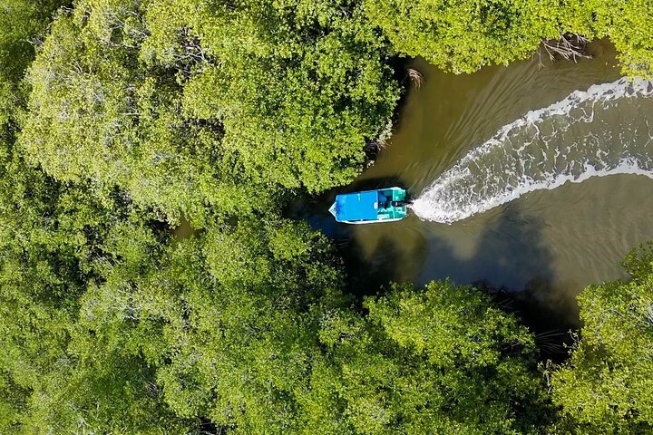 Corcovado National Park tour deals,Corcovado National Park worth visiting,best tours in Corcovado,Corcovado National Park day trip,Corcovado vs Manuel Antonio,Corcovado National Park best time to visit - best seasons and travel conditions