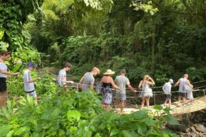 Image 1 of Dark View Falls private tour