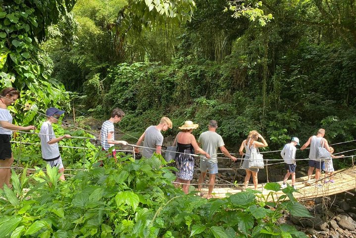 Image 1 of Dark View Falls private tour