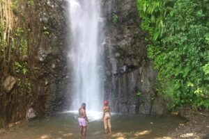 Image 1 of Dark View Falls tour and beach
