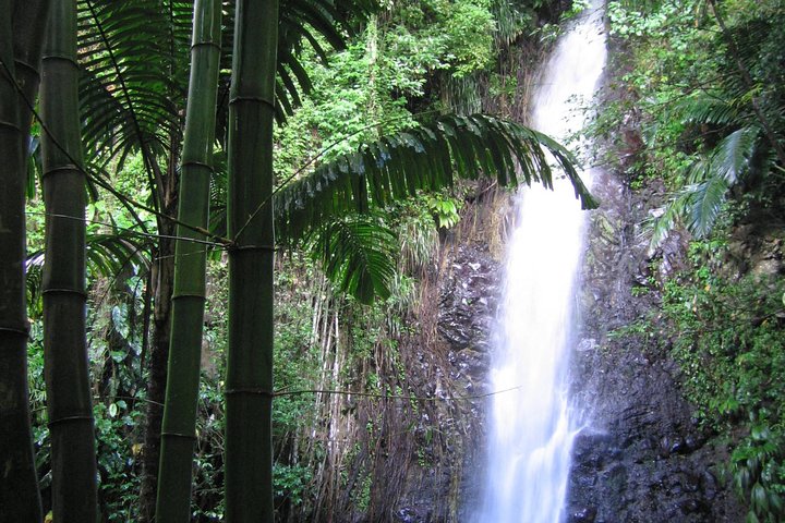 Step-by-step travel guide for Dark View Falls tour and beach,Dark View Falls worth visiting,St Vincent waterfall tours,best tours in St Vincent,Dark View Falls vs other waterfalls,Dark View Falls tour deals - transport and logistics