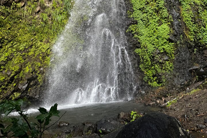 Dark View Falls tour deals,Dark View Falls worth visiting,Dark View Falls best time to visit,best tours in St Vincent,St Vincent private tours,Dark View Falls vs Trinity Falls - best seasons and travel conditions