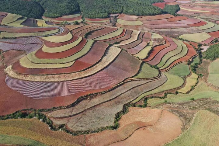 Dongchuan Red Land photography tour,Dongchuan Red Land worth visiting,best time to visit Dongchuan,Dongchuan Red Land private tour,Kunming to Dongchuan day trip,Dongchuan photography guide - complete tour package inclusions and what to expect