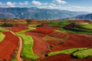 Image 1 of Dongchuan Red Land worth visiting