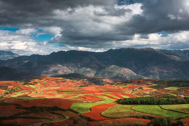 Dongchuan Red Land worth visiting,is Dongchuan Red Land worth visiting,Dongchuan Red Land best time to visit,private tour from Kunming,Dongchuan Red Land tour deals,Dongchuan vs other Yunnan destinations - best seasons and travel conditions