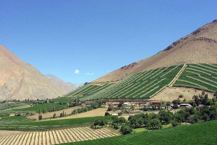 Elqui Valley private tour,Elqui Valley worth visiting,Elqui Valley tour deals,best tours in Elqui Valley,Elqui Valley vs other valleys,Elqui Valley best time to visit - complete tour package inclusions and what to expect
