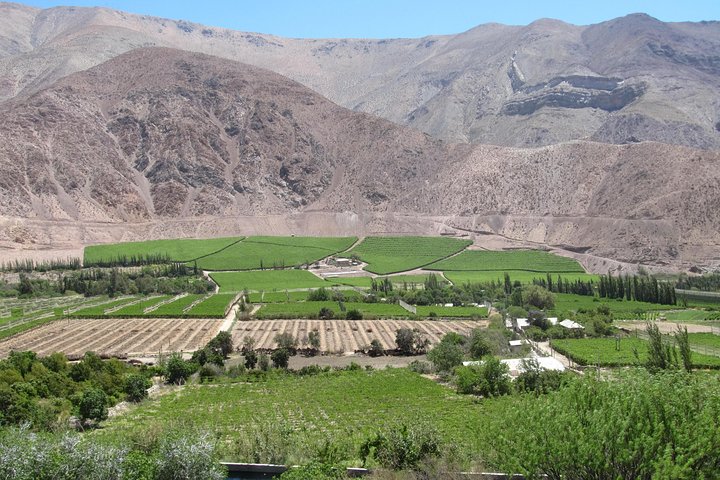 Step-by-step travel guide for Elqui Valley private tour,Elqui Valley worth visiting,Elqui Valley tour deals,best tours in Elqui Valley,Elqui Valley vs other valleys,Elqui Valley best time to visit - transport and logistics