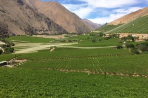 Image 1 of Elqui Valley travel guide