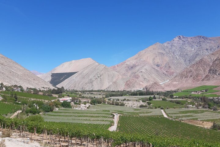 Elqui Valley travel guide,is Elqui Valley worth visiting,Elqui Valley best time to visit,Elqui Valley tour deals,best tours in Elqui Valley,Elqui Valley vs Atacama - complete tour package inclusions and what to expect