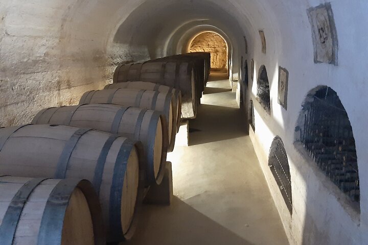 Step-by-step travel guide for Elqui Valley travel guide,is Elqui Valley worth visiting,Elqui Valley best time to visit,Elqui Valley tour deals,best tours in Elqui Valley,Elqui Valley vs Atacama - transport and logistics