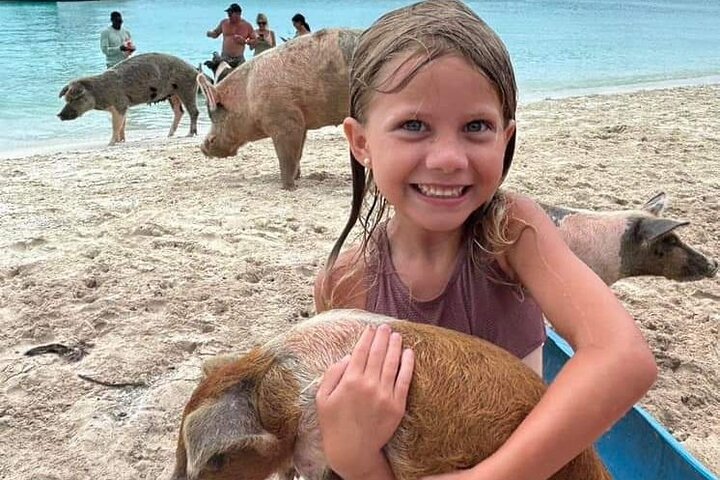 Exuma Island and Cays Tour,Exuma tour deals,best tours in Exuma,Exuma swimming pigs tour,Exuma boat tour,is Exuma worth visiting - complete tour package inclusions and what to expect