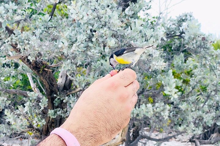 Exuma swimming pigs tour,Exuma day trip worth it,Exuma vs Nassau tours,best time to visit Exuma,Exuma private boat tours,Exuma tour deals - best seasons and travel conditions