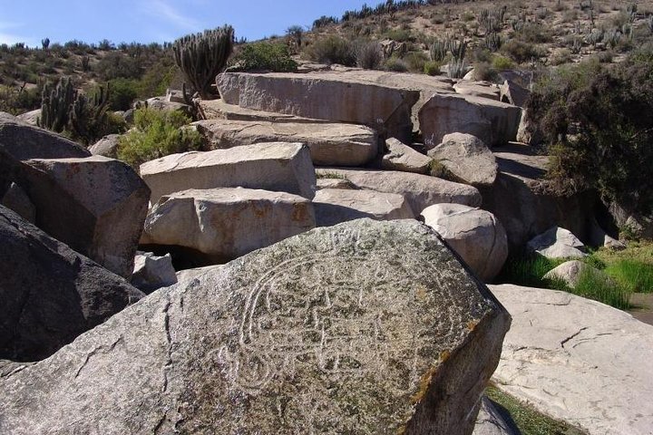 Fray Jorge National Park tour,Fray Jorge National Park worth visiting,Valle del Encanto tour,best tours in La Serena,Fray Jorge vs other parks,Fray Jorge National Park best time to visit - complete tour package inclusions and what to expect