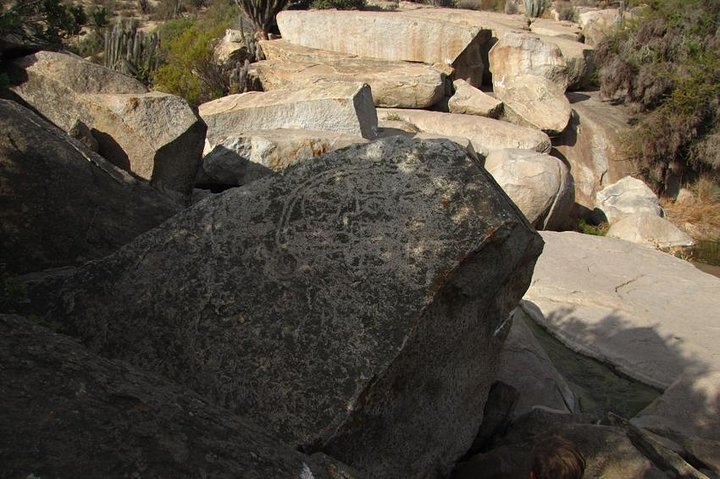 Fray Jorge National Park tour,Fray Jorge National Park worth visiting,Valle del Encanto tour,best tours in La Serena,Fray Jorge vs other parks,Fray Jorge National Park best time to visit - best seasons and travel conditions