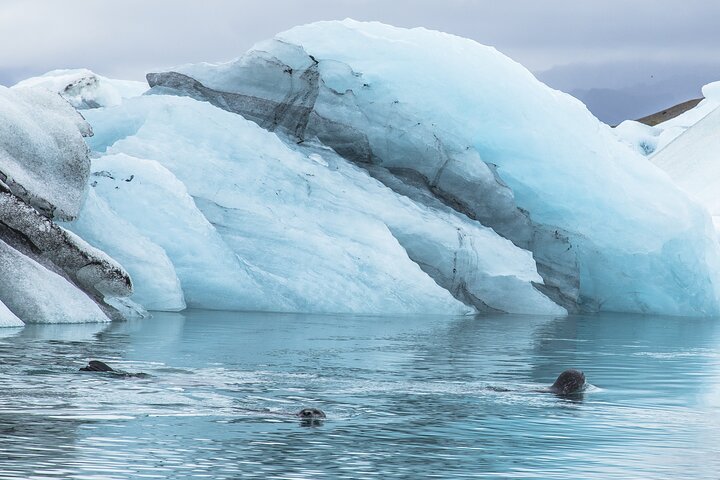 Step-by-step travel guide for Jökulsárlón Glacier Lagoon private tour,is Jökulsárlón worth visiting,Jökulsárlón vs other lagoons,best time to visit Jökulsárlón,Jökulsárlón Glacier Lagoon tour deals,best tours in Jökulsárlón - transport and logistics