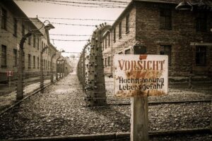 Image 1 of Krakow and Auschwitz tour from Lodz
