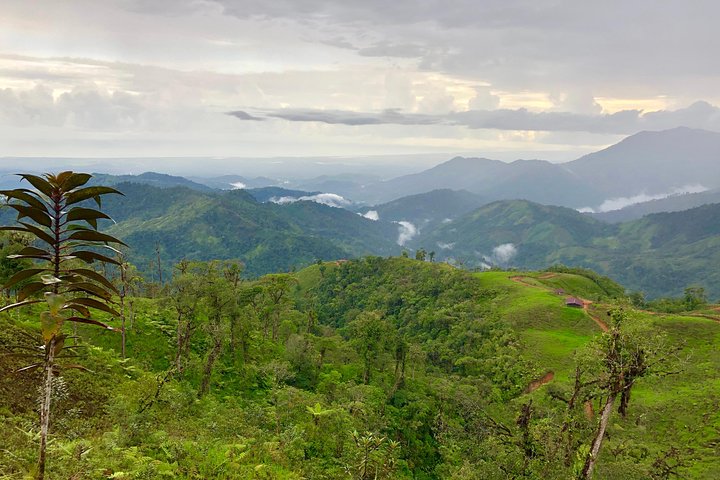 Step-by-step travel guide for Los Quetzales National Park tour,Los Quetzales National Park worth visiting,Los Quetzales National Park best time to visit,Los Quetzales National Park tour deals,birding and coffee tour Costa Rica,Los Quetzales vs other Costa Rica parks - transport and logistics