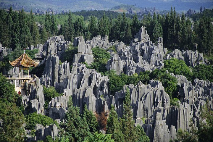 Stone Forest Jiuxiang Cave tour,Stone Forest tour from Kunming,Jiuxiang Caves worth visiting,Stone Forest vs Jiuxiang Caves,best day trips from Kunming,Stone Forest private tour deals - best seasons and travel conditions