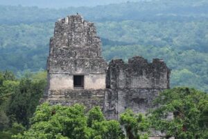 Image 1 of Tikal day tour from Belize