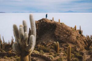 Image 1 of Uyuni Salt Flats day tour
