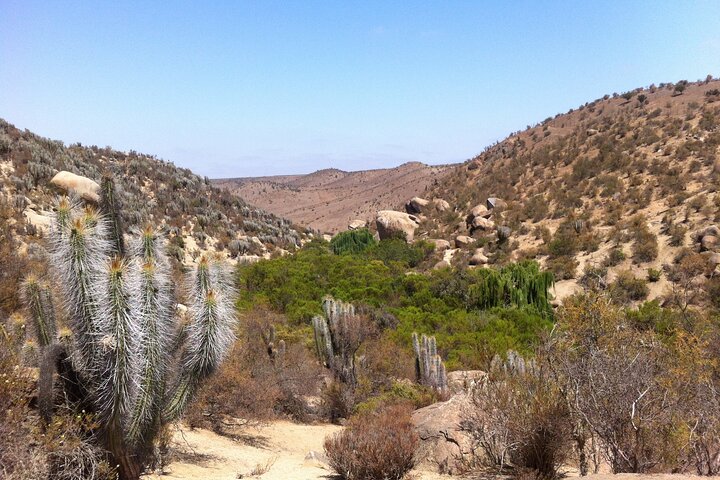 Valley of Enchantment tour deals,Valley of Enchantment worth visiting,Valley of Enchantment petroglyphs tour,best tours in La Serena,Valley of Enchantment pros cons,is Valley of Enchantment worth it - complete tour package inclusions and what to expect