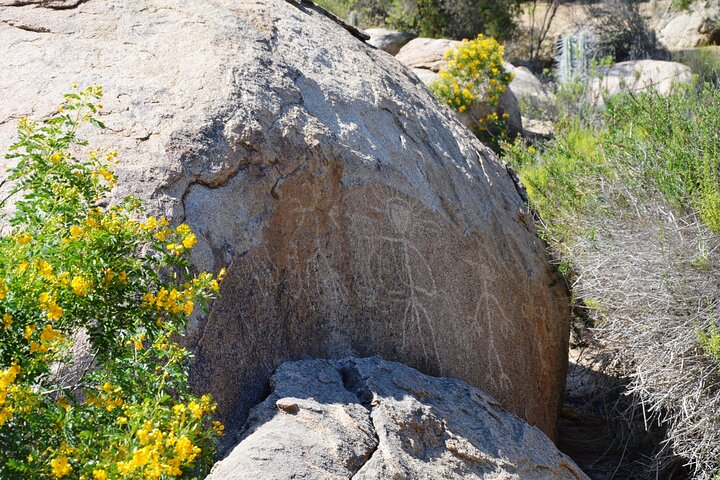 Valley of Enchantment tour deals,Valley of Enchantment worth visiting,Valley of Enchantment petroglyphs tour,best tours in La Serena,Valley of Enchantment pros cons,is Valley of Enchantment worth it - best seasons and travel conditions