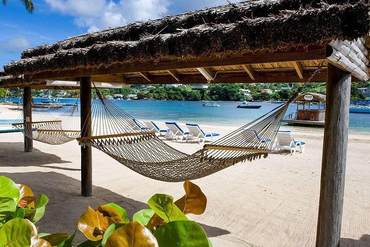 Image 1 of Young Island day tour