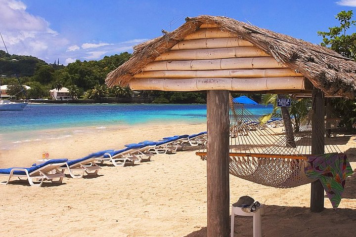 Step-by-step travel guide for Young Island day tour,Young Island worth visiting,Young Island vs other islands,Young Island best time to visit,Young Island tour deals,best tours in St Vincent - transport and logistics