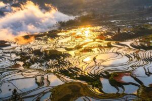 Image 1 of Yuanyang Rice Terraces worth visiting