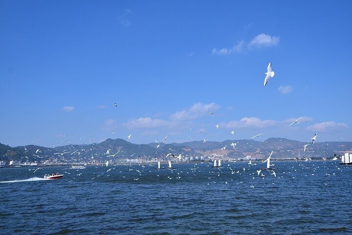 Yunnan travel guide,is Yunnan worth visiting,Yunnan vs Sichuan,Yunnan best time to visit,Yunnan tour deals,best tours in Yunnan - complete tour package inclusions and what to expect