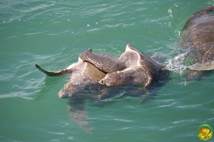 best catamaran tour Manuel Antonio,Manuel Antonio catamaran tour deals,is Manuel Antonio catamaran tour worth it,Manuel Antonio boat tours,Manuel Antonio snorkeling tours,Quepos catamaran excursions - best seasons and travel conditions