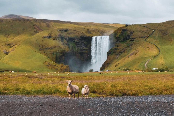best private tours in Iceland,private South Coast tour Iceland,is Iceland worth visiting,Iceland best time to visit,Iceland tour deals,South Coast Iceland vs Golden Circle - best seasons and travel conditions