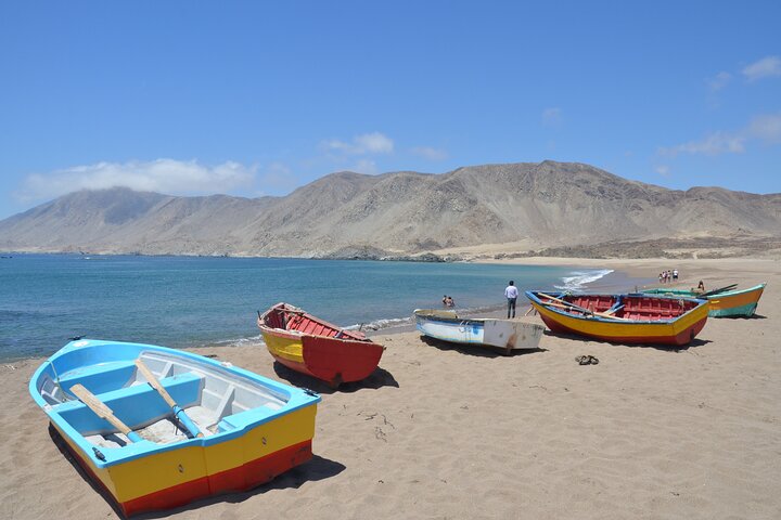 Step-by-step travel guide for best tours from La Serena,La Serena tour deals,Pan de Azucar National Park tour,Llanos del Challe tour,Atacama desert tours from La Serena,is La Serena worth visiting - transport and logistics