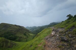 Image 1 of best tours in Anton Valley Panama