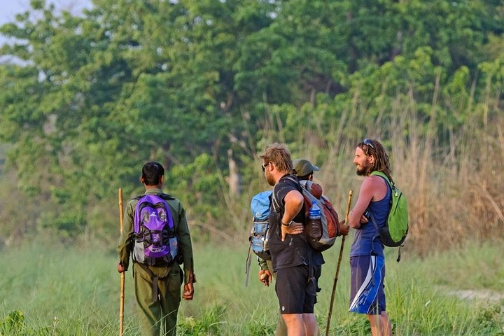 best tours in Chitwan National Park,Chitwan National Park worth visiting,Chitwan vs other safaris,Chitwan best time to visit,Chitwan National Park tour deals,is Chitwan National Park safe - complete tour package inclusions and what to expect