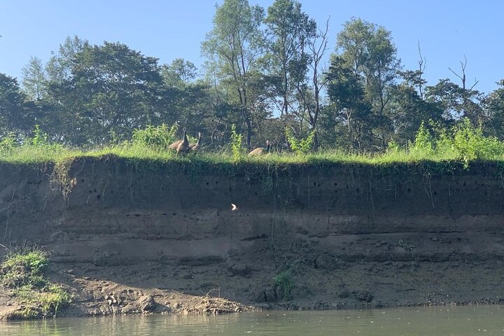 best tours in Chitwan National Park,Chitwan National Park worth visiting,Chitwan vs other safaris,Chitwan best time to visit,Chitwan National Park tour deals,is Chitwan National Park safe - best seasons and travel conditions