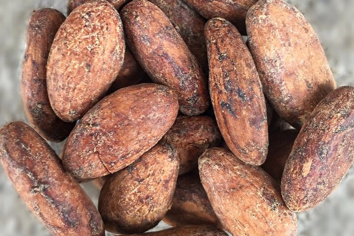 best tours in Manta,Manta worth visiting,Manta travel guide,private tour in Manta,Manta best time to visit,Manta tour deals - best seasons and travel conditions