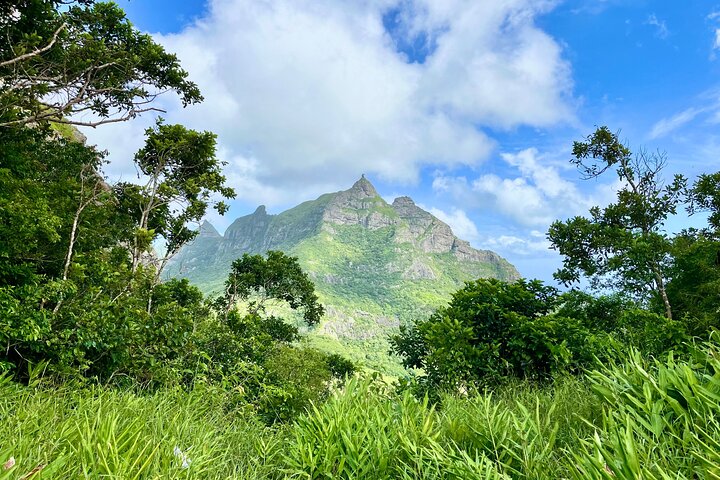 Step-by-step travel guide for best tours in Mauritius,Mauritius tour deals,is Mauritius worth visiting,Mauritius best time to visit,Mauritius vs Seychelles,adventure tours in Mauritius - transport and logistics