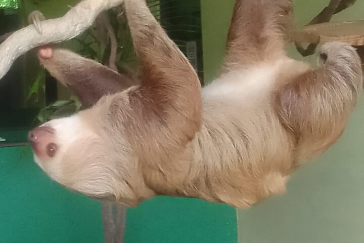 best tours in Panama City,Panama City tour deals,is Panama City worth visiting,Panama City best time to visit,Panama City private tour,Panama Canal and rainforest tour - complete tour package inclusions and what to expect