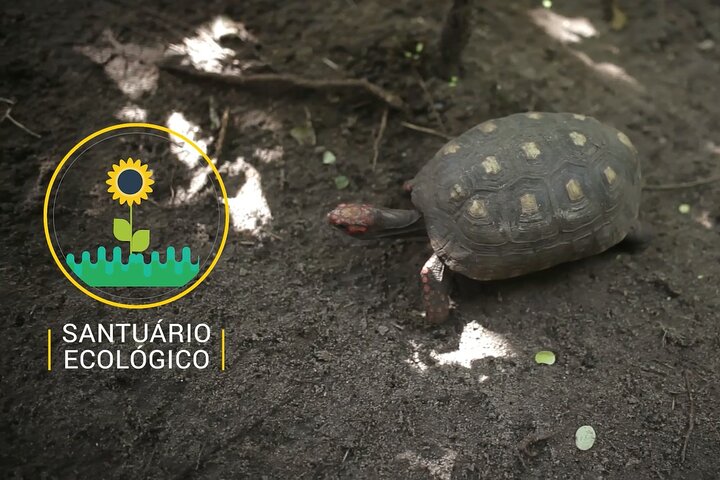 best tours in Pipa Brazil,Pipa Brazil worth visiting,Pipa Brazil tour deals,Pipa Brazil travel guide,Pipa Brazil best time to visit,Pipa vs Natal - best seasons and travel conditions