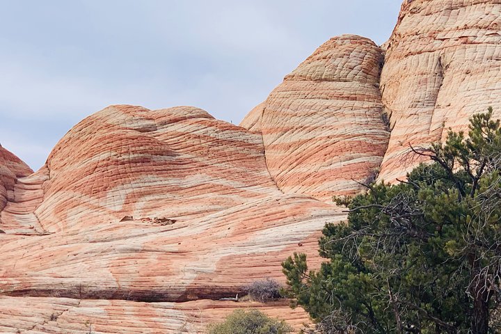Step-by-step travel guide for best tours in St George Utah,St George Utah worth visiting,St George Utah travel guide,hiking tours in St George,St George Utah tour deals,St George vs Zion - transport and logistics