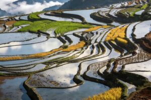 Image 1 of best tours in Yuanyang Rice Terraces