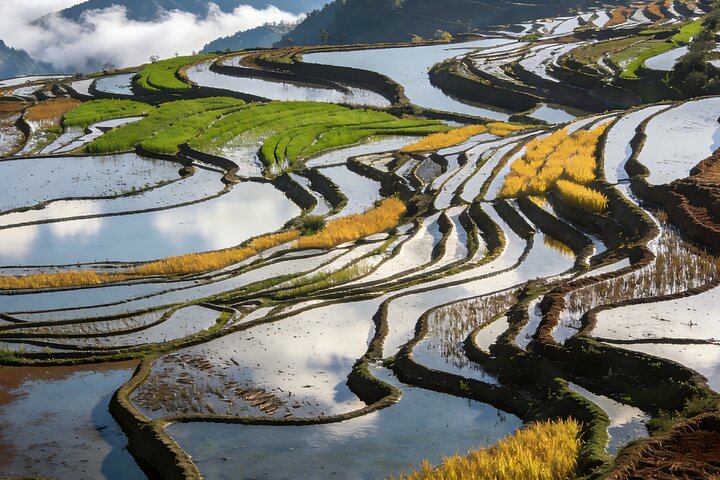 Image 1 of best tours in Yuanyang Rice Terraces