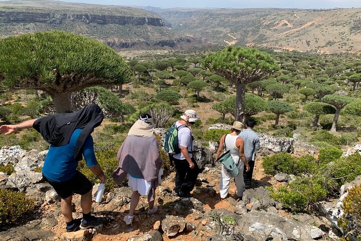 Step-by-step travel guide for best tours in socotra,socotra worth visiting,socotra travel guide,socotra tour deals,socotra best time to visit,is socotra safe to visit - transport and logistics
