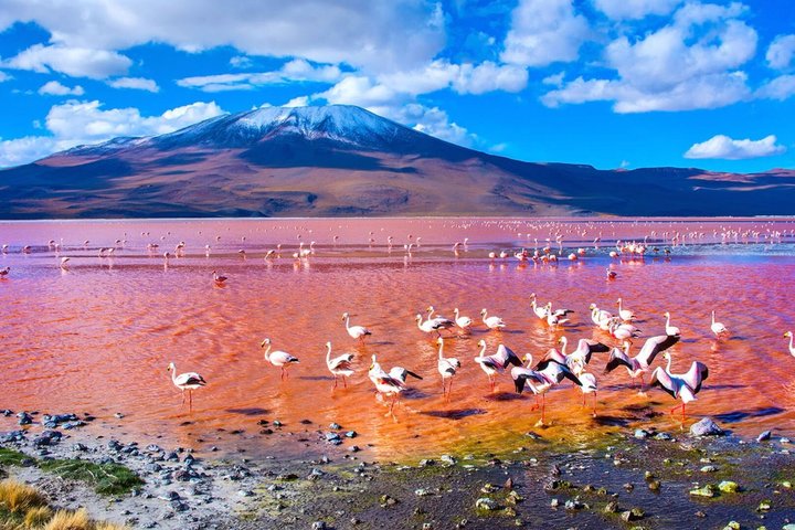 Step-by-step travel guide for best tours in uyuni salt flats,uyuni salt flats worth visiting,uyuni salt flats vs atacama desert,uyuni salt flats best time to visit,uyuni salt flats tour deals,3 day uyuni tour itinerary - transport and logistics