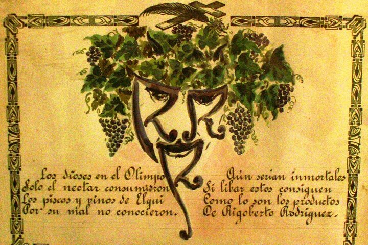 Image 1 of best wine tours in Elqui Valley