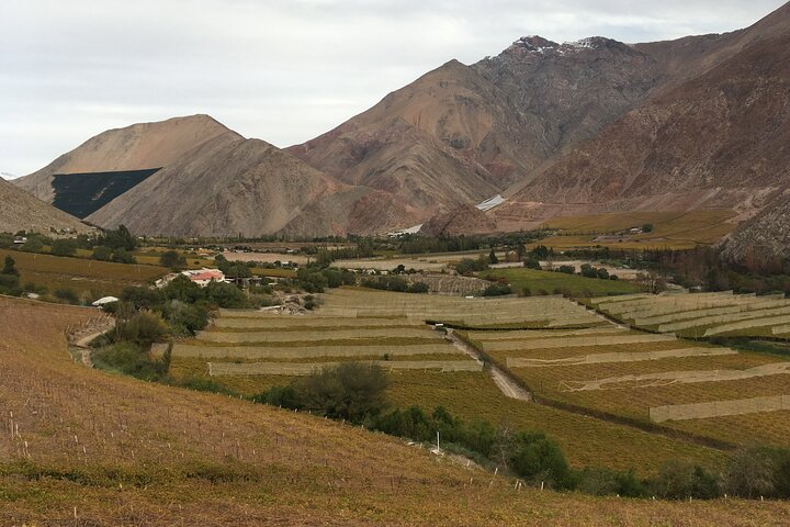 best wine tours in Elqui Valley,Elqui Valley wine tasting,La Serena wine tours,is Elqui Valley worth visiting,Chilean pisco tours,Elqui Valley tour deals - complete tour package inclusions and what to expect